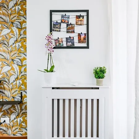 דירה St. Peter Vatican רומא